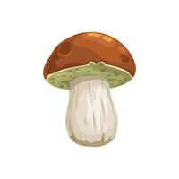 Cep mushroom, isolated cartoon porcini fungus vector