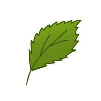 Isolated Birch Leaf icon. Vector illustration in doodle style. Leaf theme of autumn, botany, nature, ecology and planet plants. Hand drawn Design for natural and organic designs, icon, web elements.