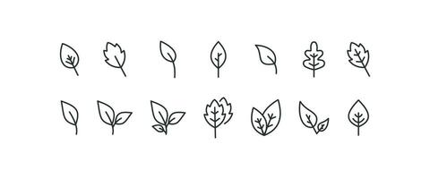 Leaf line icon set.   Tree leaves vector