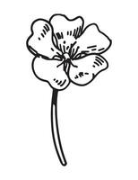 Cereza florecer flor bosquejo. primavera hora botánico clipart. mano dibujado vector ilustración aislado en blanco antecedentes.