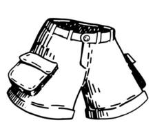 de los hombres pantalones cortos bosquejo clipart. verano ropa garabatear aislado en blanco. mano dibujado vector ilustración en grabado estilo.