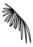 Palm leaf clipart. Tropical flora doodle sketch. Hand drawn vector botany illustration. Engraving style doodle isolated on white.