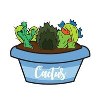 Group of different colored cactus on a pot Vector illustration