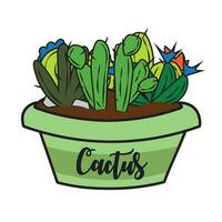 Group of different colored cactus on a pot Vector illustration