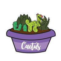 Group of different colored cactus on a pot Vector illustration