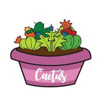 Group of different colored cactus on a pot Vector illustration