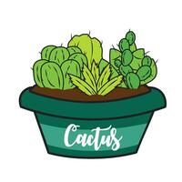 Group of different colored cactus on a pot Vector illustration