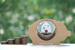 Model house in piggy bank on natural green background, Save money for prepare in future and real estate concept photo