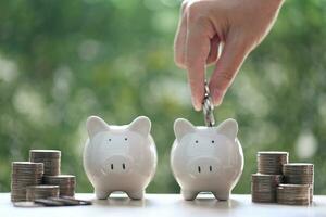 Finance, Piggy bank and coins money on natural green background, investment and business concept photo