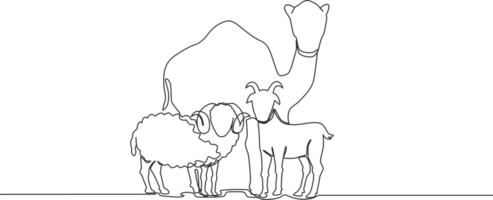 un continu ligne dessin de mouton, chameau et chèvre. musulman vacances le sacrifice un animal à Dieu, eid Al adha salutation carte concept Célibataire ligne dessiner conception illustration png