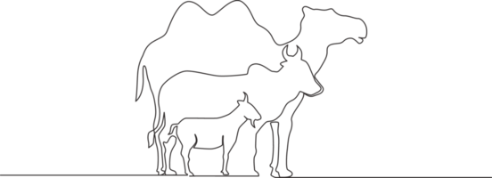 Célibataire continu ligne dessin de chèvre, mouton, buffle, vache et chameau. musulman vacances le sacrifice un animal, eid Al adha salutation carte concept un ligne dessiner conception illustration png