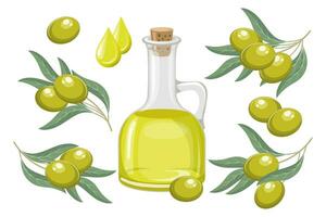 Set of green olives. Olive oil, drops of oil and twigs with olives and leaves. Food illustration, vector