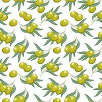 Background with olives. Seamless pattern, green olives and twigs with leaves on a white background. Print, vector