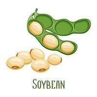 Soya beans. Soybeans in pods. Food, legumes, agriculture. Illustration, vector
