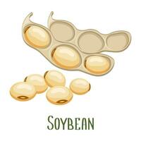 Soya beans. Soybeans in pods. Food, legumes, agriculture. Illustration, vector