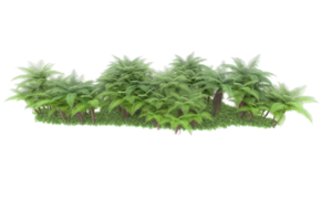 Realistic forest isolated on transparent background. 3d rendering - illustration png