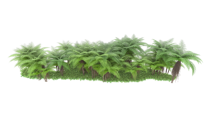 Realistic forest isolated on transparent background. 3d rendering - illustration png