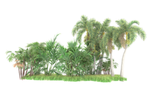 floresta realista isolada em fundo transparente. renderização 3D - ilustração png