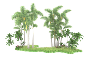 Realistic forest isolated on transparent background. 3d rendering - illustration png