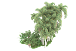 realistico foresta isolato su trasparente sfondo. 3d interpretazione - illustrazione png