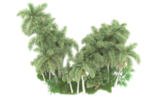 Realistic forest isolated on transparent background. 3d rendering - illustration png