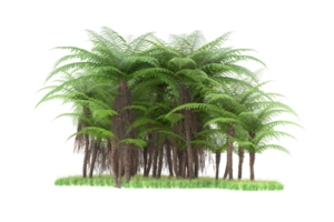 Realistic forest isolated on transparent background. 3d rendering - illustration png