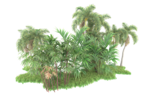 floresta realista isolada em fundo transparente. renderização 3D - ilustração png