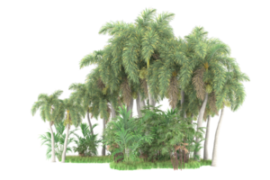 realistico foresta isolato su trasparente sfondo. 3d interpretazione - illustrazione png