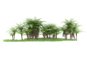 Realistic forest isolated on transparent background. 3d rendering - illustration png