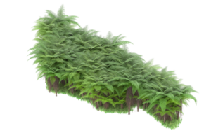 floresta realista isolada em fundo transparente. renderização 3D - ilustração png