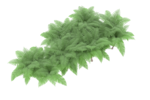 forêt réaliste isolée sur fond transparent. rendu 3d - illustration png