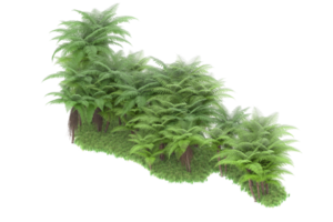 forêt réaliste isolée sur fond transparent. rendu 3d - illustration png