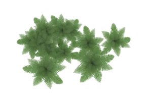 Realistic forest isolated on transparent background. 3d rendering - illustration png