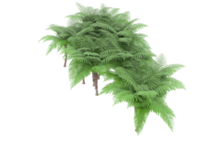 forêt réaliste isolée sur fond transparent. rendu 3d - illustration png