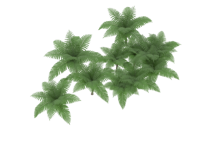 forêt réaliste isolée sur fond transparent. rendu 3d - illustration png