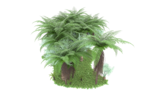 floresta realista isolada em fundo transparente. renderização 3D - ilustração png