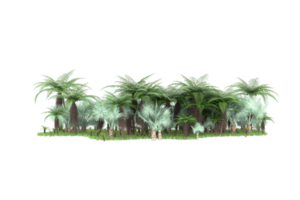 Realistic forest isolated on transparent background. 3d rendering - illustration png