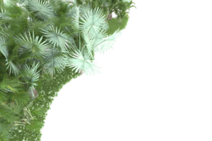 forêt réaliste isolée sur fond transparent. rendu 3d - illustration png