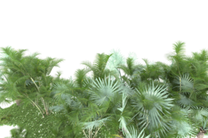 forêt réaliste isolée sur fond transparent. rendu 3d - illustration png