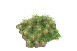 floresta realista isolada em fundo transparente. renderização 3D - ilustração png