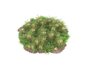 forêt réaliste isolée sur fond transparent. rendu 3d - illustration png