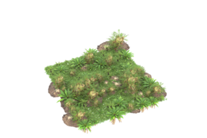 forêt réaliste isolée sur fond transparent. rendu 3d - illustration png