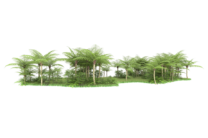 Realistic forest isolated on transparent background. 3d rendering - illustration png