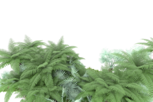 Realistic forest isolated on transparent background. 3d rendering - illustration png