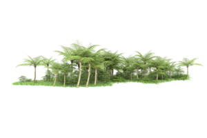 Realistic forest isolated on transparent background. 3d rendering - illustration png