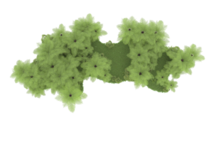 Realistic forest isolated on transparent background. 3d rendering - illustration png