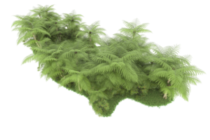 Realistic forest isolated on transparent background. 3d rendering - illustration png