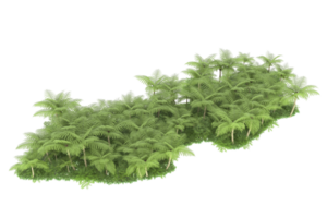 floresta realista isolada em fundo transparente. renderização 3D - ilustração png