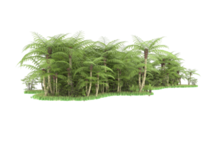 forêt réaliste isolée sur fond transparent. rendu 3d - illustration png