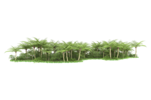 bosque realista aislado sobre fondo transparente. Representación 3d - ilustración png